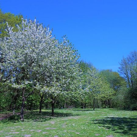 Panoramic App A03-5 Lejlighed Sierksdorf Eksteriør billede