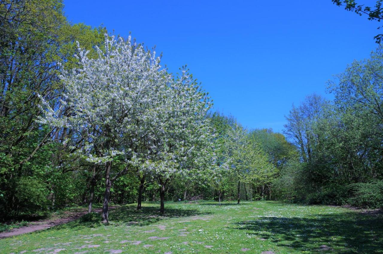 Panoramic App A03-5 Lejlighed Sierksdorf Eksteriør billede